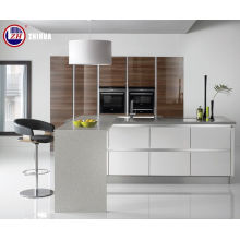 Glossy Kitchen Cabinet Doors mit Malerei (maßgeschneidert)